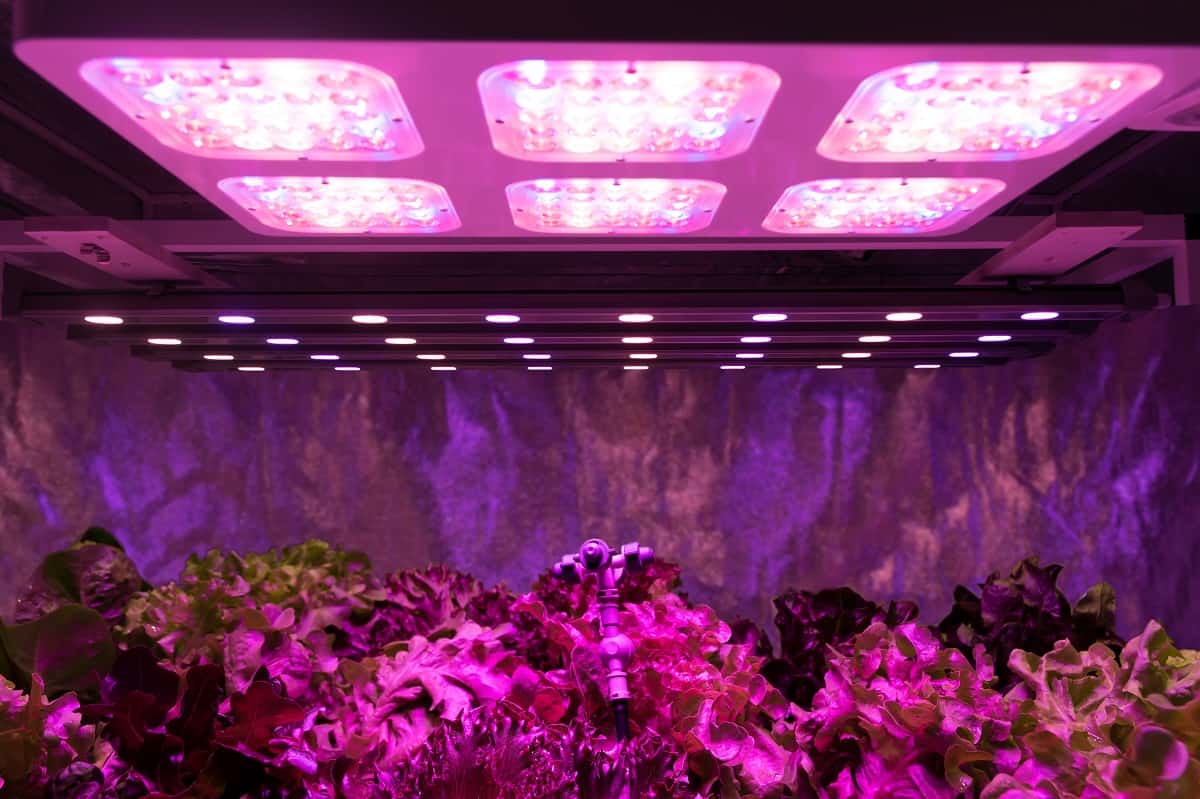 Best Led Grow Lights of 2020 Complete Reviews with Comparison Anipots